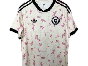 Chile 25-26 Away